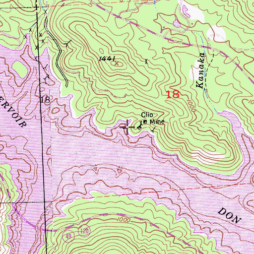Topographic Map of Clio Mine, CA