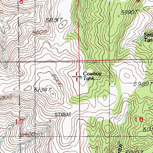 Topographic Map of Cowboy Tank, AZ