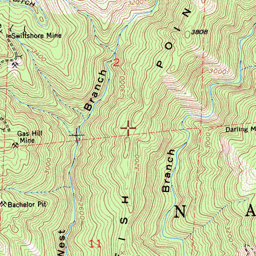 Topographic Map of Codfish Point, CA