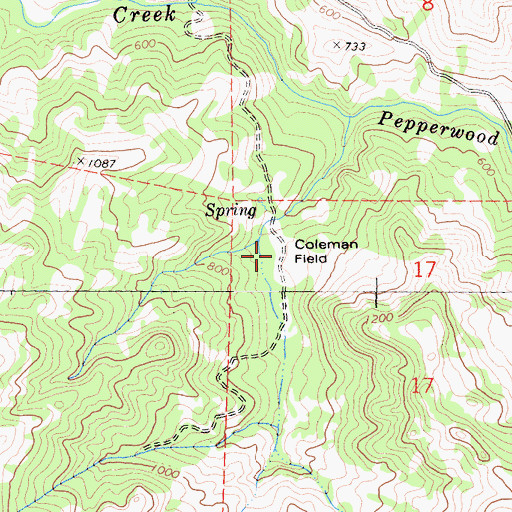 Topographic Map of Coleman Field, CA