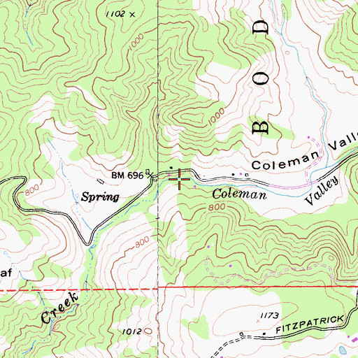 Topographic Map of Coleman Valley, CA