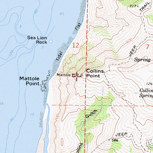 Topographic Map of Collins Point, CA