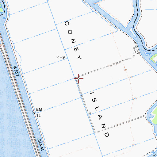 Topographic Map of Coney Island, CA