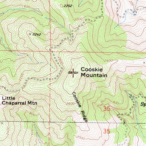 Topographic Map of Cooskie Mountain, CA