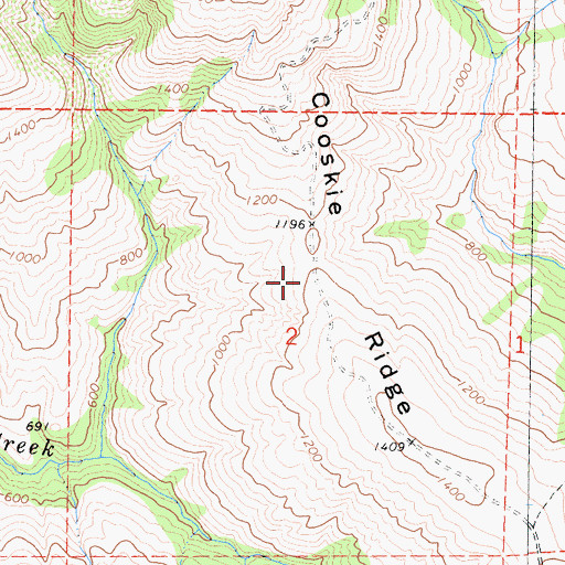 Topographic Map of Cooskie Ridge, CA