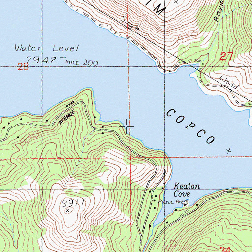 Topographic Map of Copco Lake, CA