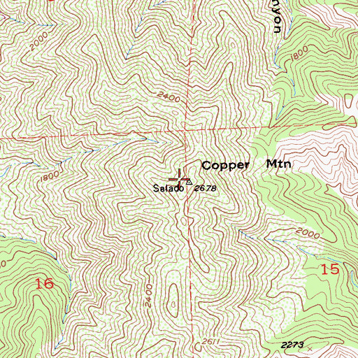 Topographic Map of Copper Mountain, CA