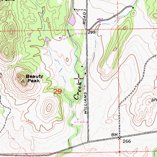 Topographic Map of Cory Canyon, CA