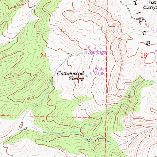Topographic Map of Cottonwood Spring, CA