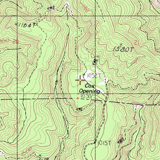 Topographic Map of Cox Opening, CA