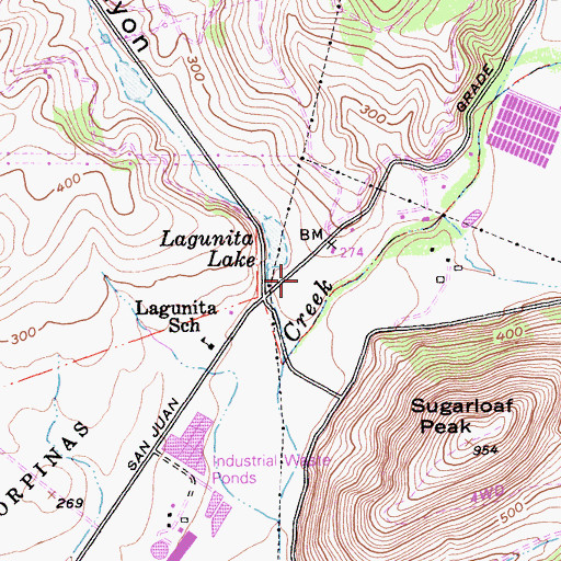 Topographic Map of Crazy Horse Canyon, CA