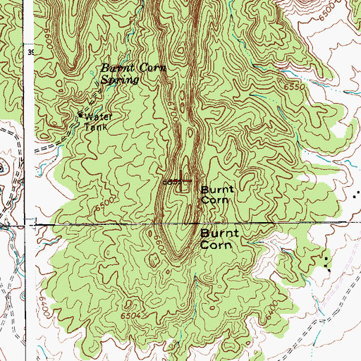 Topographic Map of Burnt Corn, AZ