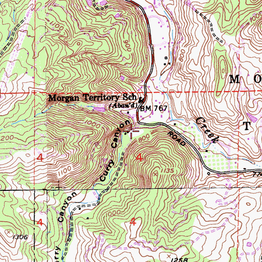 Topographic Map of Curry Canyon, CA