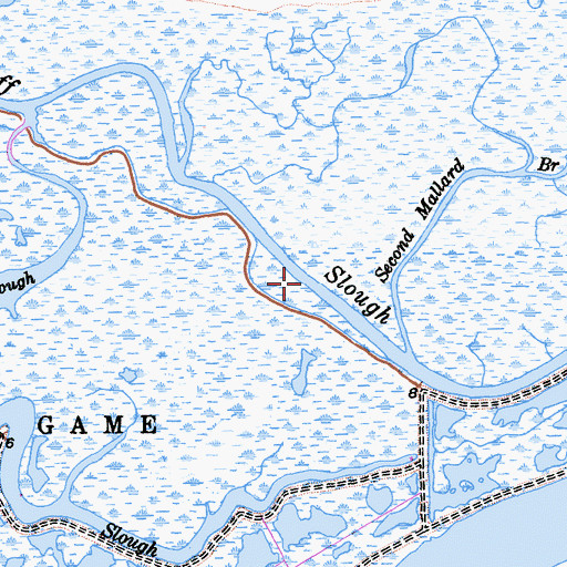Topographic Map of Cutoff Slough, CA