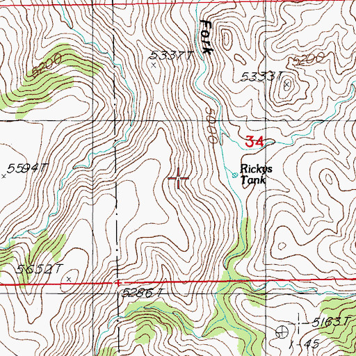 Topographic Map of Rickys Tank, AZ