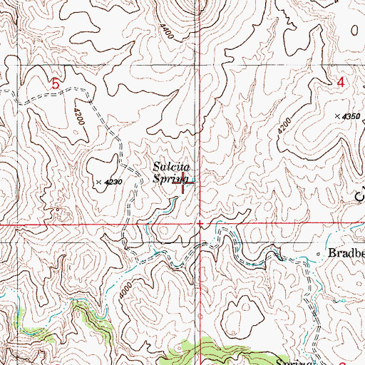 Topographic Map of Salcita Spring, AZ