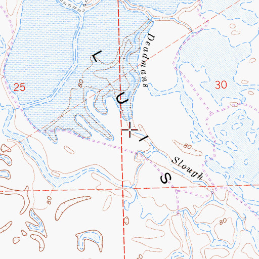Topographic Map of Deadmans Slough, CA