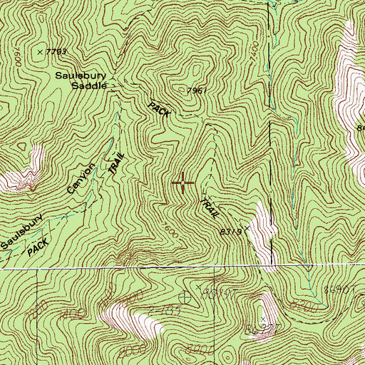Topographic Map of Saulsbury Canyon Trail Two Hundred Sixtythree, AZ