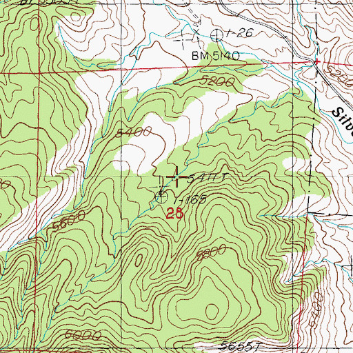 Topographic Map of Silver Tank, AZ
