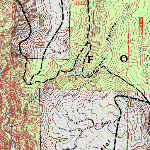 Topographic Map of Diamond Ravine, CA