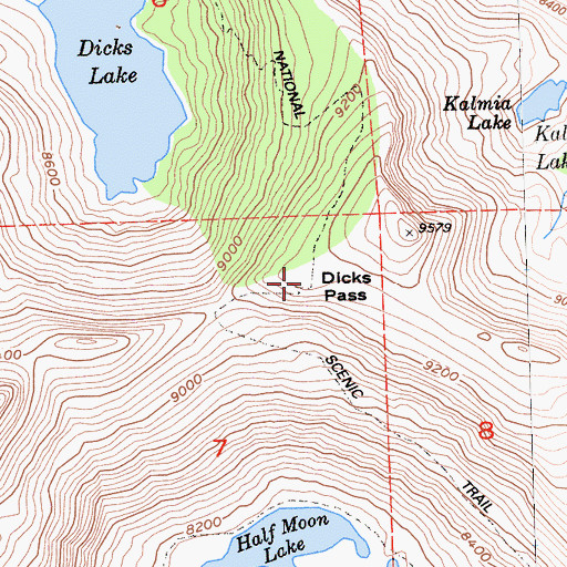 Topographic Map of Dicks Pass, CA
