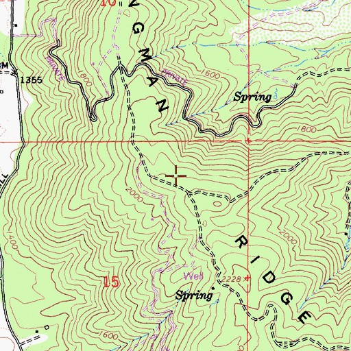 Topographic Map of Dingman Ridge, CA