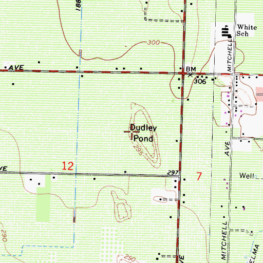 Topographic Map of Dudley Pond, CA