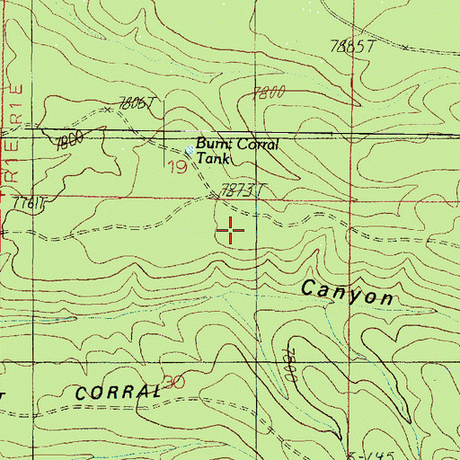 Topographic Map of Burnt Corral Rim, AZ