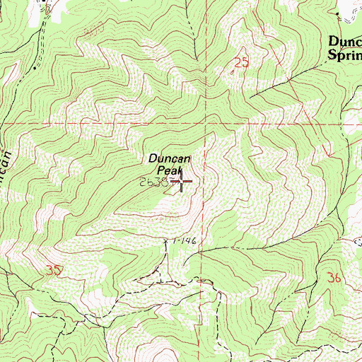 Topographic Map of Duncan Peak, CA