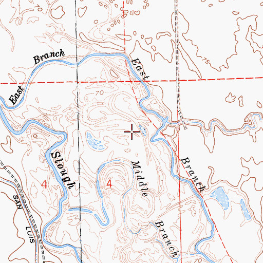 Topographic Map of East Branch Salt Slough, CA