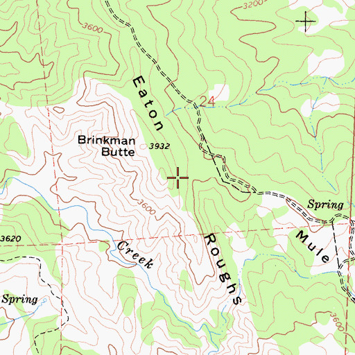Topographic Map of Eaton Roughs, CA