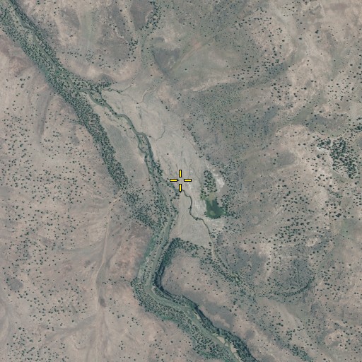Aerial/Satellite Image of Elder Spring, CA