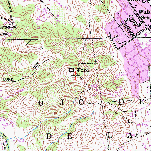 Topographic Map of El Toro, CA