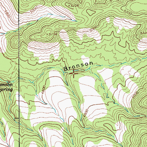 Topographic Map of Bronson Spring, AZ