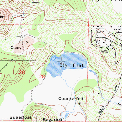 Topographic Map of Ely Flat, CA