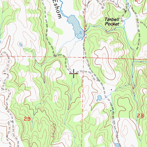 Topographic Map of Eshom Valley, CA