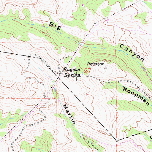 Topographic Map of Eugene Spring, CA