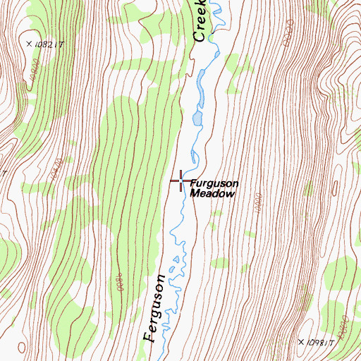 Topographic Map of Ferguson Meadow, CA