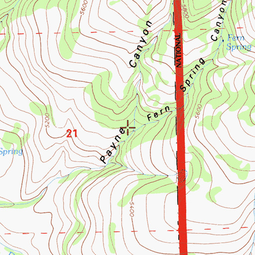 Topographic Map of Fern Spring Canyon, CA
