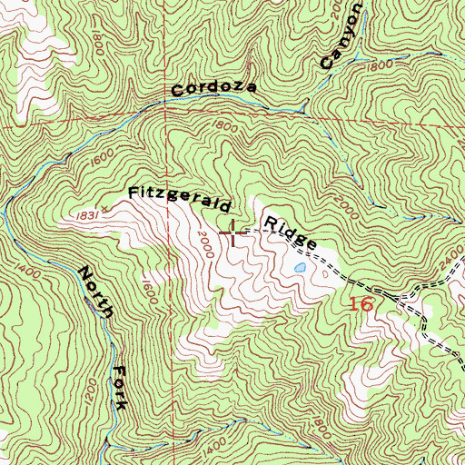 Topographic Map of Fitzgerald Ridge, CA