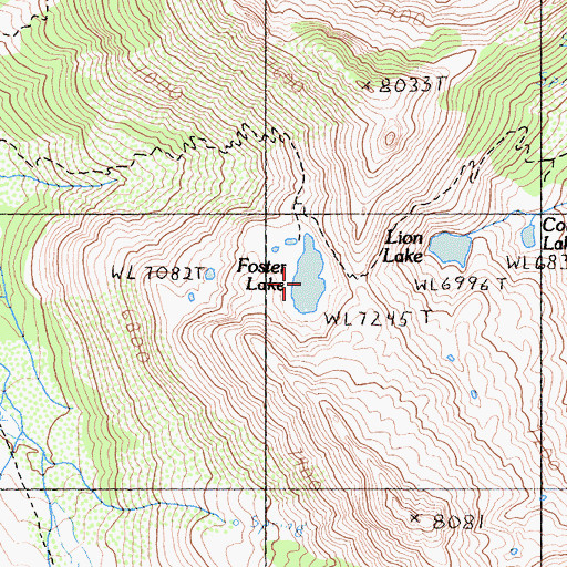 Topographic Map of Foster Lake, CA