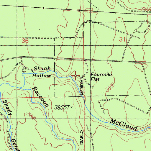 Topographic Map of Fourmile Flat, CA