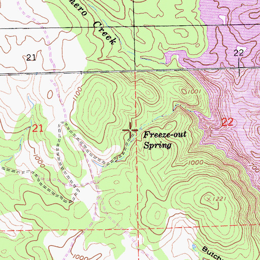 Topographic Map of Freeze-Out Spring, CA