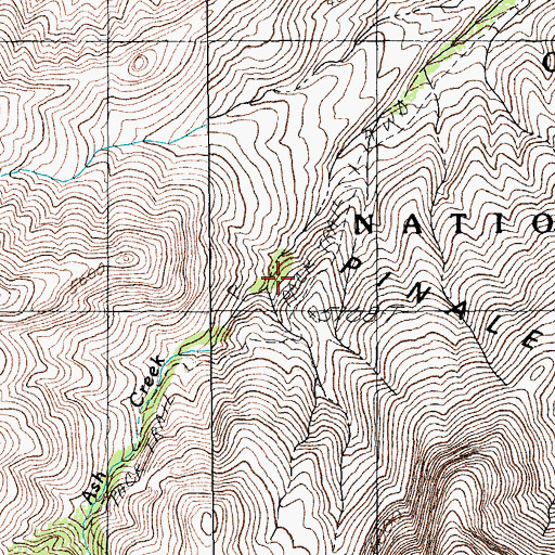 Topographic Map of Ash Creek Trail Three Hundred Seven, AZ