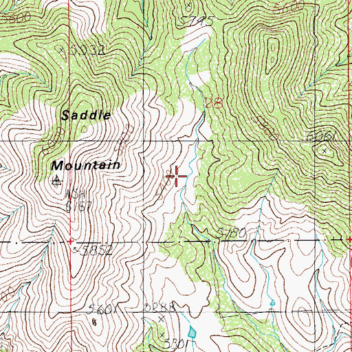 Topographic Map of Bass Tank, AZ