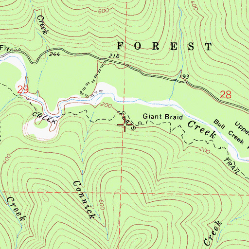 Topographic Map of Giant Braid, CA
