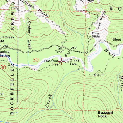 Topographic Map of Giant Tree, CA