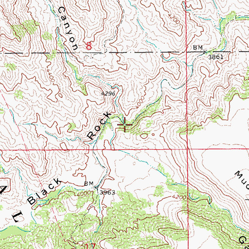 Topographic Map of Black Rock Trail Two Hundred Ninety Two, AZ