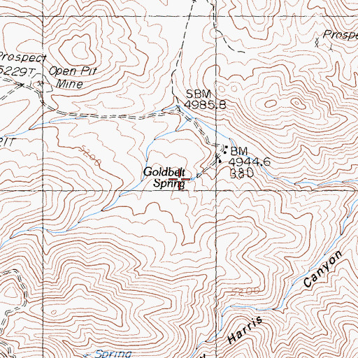 Topographic Map of Goldbelt Spring, CA