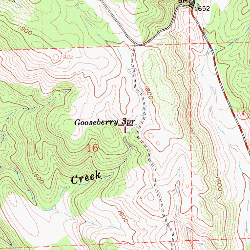 Topographic Map of Gooseberry Spring, CA